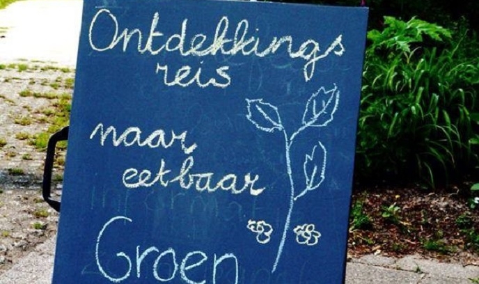 Workshop ‘Foodwalk: Op zoek naar eetbaar groen!’
