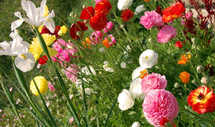 Lente bij het AZC