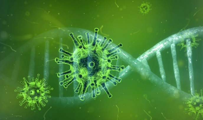 Afgelasting activiteiten SWW i.v.m. coronavirus