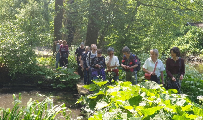 Gezond Natuur Wandelen komt naar Hoogeveen en zoekt begeleiders